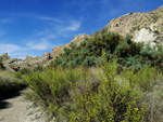 Grupo Mineralógico de Alicante. Valle de Ricote. Murcia