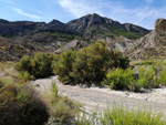 Grupo Mineralógico de Alicante. Valle de Ricote. Murcia