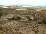 Grupo Mineralógico de Alicante. Cantera Casablanca. San Vicente del Raspeig. Alicante