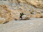 Grupo Mineralógico de Alicante. Cantera Casablanca. San Vicente del Raspeig. Alicante