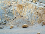 Grupo Mineralógico de Alicante. Cantera Casablanca. San Vicente del Raspeig. Alicante