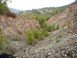 Grupo Mineralógico de Alicante. Explotacion de Ofitas. Sierra de Olta. Calpe.. Alicante