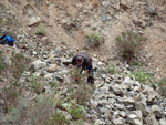 Grupo Mineralógico de Alicante. Explotacion de Ofitas. Sierra de Olta. Calpe.. Alicante