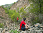 Grupo Mineralógico de Alicante. Explotacion de Ofitas. Sierra de Olta. Calpe.. Alicante