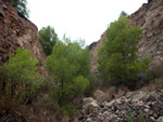 Grupo Mineralógico de Alicante. Explotacion de Ofitas. Sierra de Olta. Calpe.. Alicante