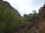 Grupo Mineralógico de Alicante. Explotacion de Ofitas. Sierra de Olta. Calpe.. Alicante 