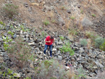 Grupo Mineralógico de Alicante. Explotacion de Ofitas. Sierra de Olta. Calpe.. Alicante