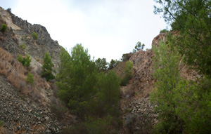 Grupo Mineralógico de Alicante. Explotacion de Ofitas. Sierra de Olta. Calpe.. Alicante