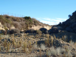 Grupo Mineralógico de Alicante. Cabezo Negro. Zeneta. Murcia