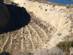 Grupo Mineralógico de Alicante. Cabezo Negro. Zeneta. Murcia