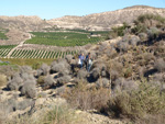 Grupo Mineralógico de Alicante. Cabezo Negro. Zeneta. Murcia