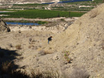 Grupo Mineralógico de Alicante. Cabezo Negro. Zeneta. Murcia 