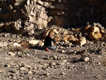 Grupo Mineralógico de Alicante. Explotación de de áridos de Holcin. El Cabezonet. Busot. Alicante

