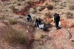 Grupo Mineralógico de Alicante. Loma Badá. Petrer. Alicante   