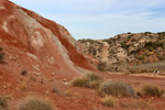 Grupo Mineralógico de Alicante.  Loma Badá. Petrer. Alicante    