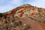 Grupo Mineralógico de Alicante.  Loma Badá. Petrer. Alicante    