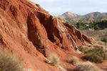 Grupo Mineralógico de Alicante.  Loma Badá. Petrer. Alicante    