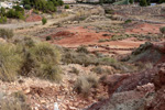 Grupo Mineralógico de Alicante. Loma Badá. Petrer. Alicante    