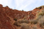 Grupo Mineralógico de Alicante.  Loma Badá. Petrer. Alicante    