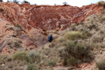 Grupo Mineralógico de Alicante.  Loma Badá. Petrer. Alicante    