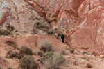 Grupo Mineralógico de Alicante. Loma Badá. Petrer. Alicante   