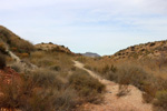 Grupo Mineralógico de Alicante.   Loma Badá. Petrer. Alicante  