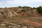 Grupo Mineralógico de Alicante.     Loma Badá. Petrer. Alicante  