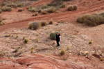 Grupo Mineralógico de Alicante.     Loma Badá. Petrer. Alicante  