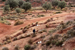 Grupo Mineralógico de Alicante.   Loma Badá. Petrer. Alicante  