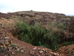 Grupo Mineralógico de Alicante. Minería de Hierro. Cabecico del Rey. Valladolises. Murcia   