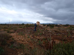 Grupo Mineralógico de Alicante. Minería de Hierro. Cabecico del Rey. Valladolises. Murcia   