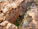 Grupo Mineralógico de Alicante. Minería de Hierro. Cabecico del Rey. Valladolises. Murcia   