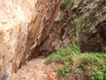 Grupo Mineralógico de Alicante.  Minería de Hierro. Cabecico del Rey. Valladolises. Murcia    