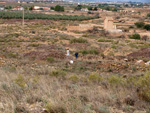 Grupo Mineralógico de Alicante.  Minería de Hierro. Cabecico del Rey. Valladolises. Murcia    