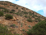 Grupo Mineralógico de Alicante. Minería de Hierro. Cabezo Gordo de Torrepacheco. Torrepacheco. Murcia   