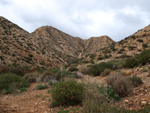 Grupo Mineralógico de Alicante. Minería de Hierro. Cabezo Gordo de Torrepacheco. Torrepacheco. Murcia   