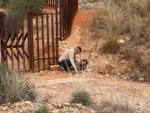 Grupo Mineralógico de Alicante. Minería de Hierro. Cabezo Gordo de Torrepacheco. Torrepacheco. Murcia   