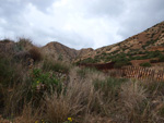 Grupo Mineralógico de Alicante.  Minería de Hierro. Cabezo Gordo de Torrepacheco. Torrepacheco. Murcia    