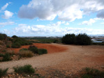 Grupo Mineralógico de Alicante.  Minería de Hierro. Cabezo Gordo de Torrepacheco. Torrepacheco. Murcia    