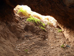 Grupo Mineralógico de Alicante.    Minería de Hierro. Cabezo Gordo de Torrepacheco. Torrepacheco. Murcia  