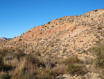 Grupo Mineralógico de Alicante.Canteras de yeso las Viudas. La Alcoraia. Alicante   