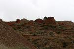 Grupo Mineralógico de Alicante.  Canteras de yeso las Viudas. La Alcoraia. Alicante  