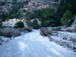 Grupo Mineralógico de Alicante.Sierra de Hurchillo. Orihuela. Alicante