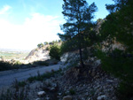 Grupo Mineralógico de Alicante. Sierra de Hurchillo. Orihuela. Alicante 