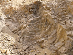 Grupo Mineralógico de Alicante.Cantera de Áridos Holcin. Busot. Alicante