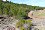 Grupo Mineralógico de Alicante.Afloramiento de Aragonito. Casas de Ves. Albacete. Alicante