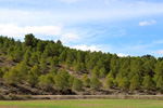 Grupo Mineralógico de Alicante. Afloramiento de Aragonito. Casas de Ves. Albacete. Alicante 