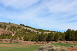 Grupo Mineralógico de Alicante. Afloramiento de Aragonito. Casas de Ves. Albacete. Alicante 