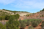 Grupo Mineralógico de Alicante. Afloramiento de Aragonito. Casas de Ves. Albacete. Alicante 