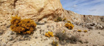 Grupo Mineralógico de Alicante.Afloramiento de Aragonito. Casas de Ves. Albacete. Alicante